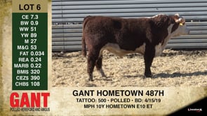 Lot #6 - GANT HOMETOWN 487H
