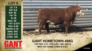 Lot #5 - GANT HOMETOWN 488G