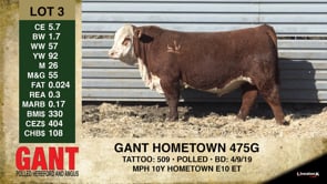 Lot #3 - GANT HOMETOWN 475G