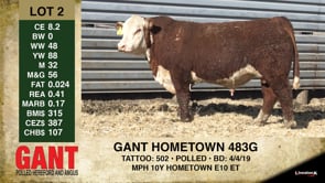 Lot #2 - GANT HOMETOWN 483G