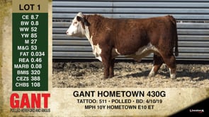 Lot #1 - GANT HOMETOWN 430G