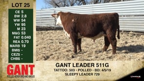 Lot #25 - GANT LEADER 511G