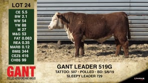 Lot #24 - GANT LEADER 519G