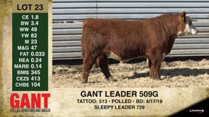 Lot #23 - GANT LEADER 509G
