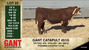 Lot #22 - GANT CATAPULT 451G