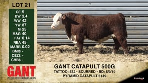 Lot #21 - GANT CATAPULT 500G