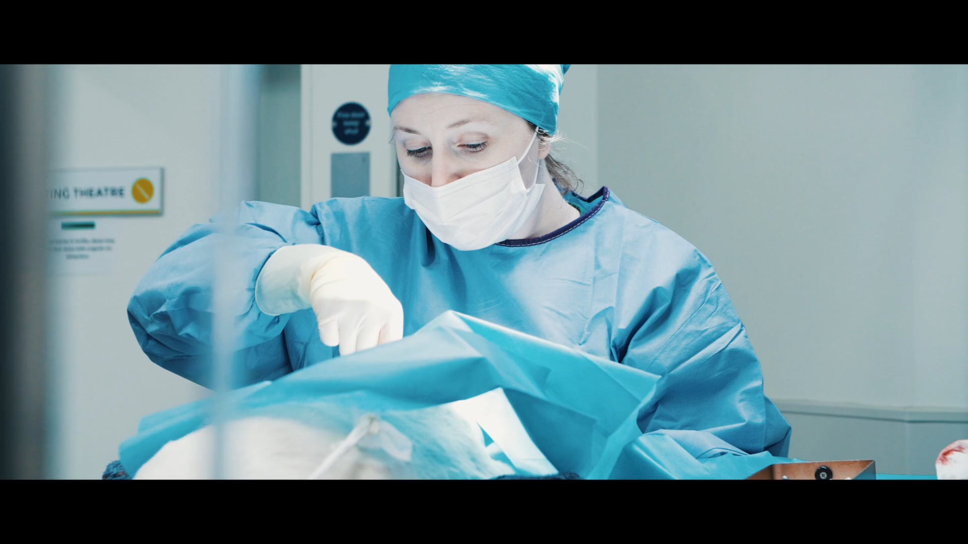 O'Connor Julian Veterinary Clinic