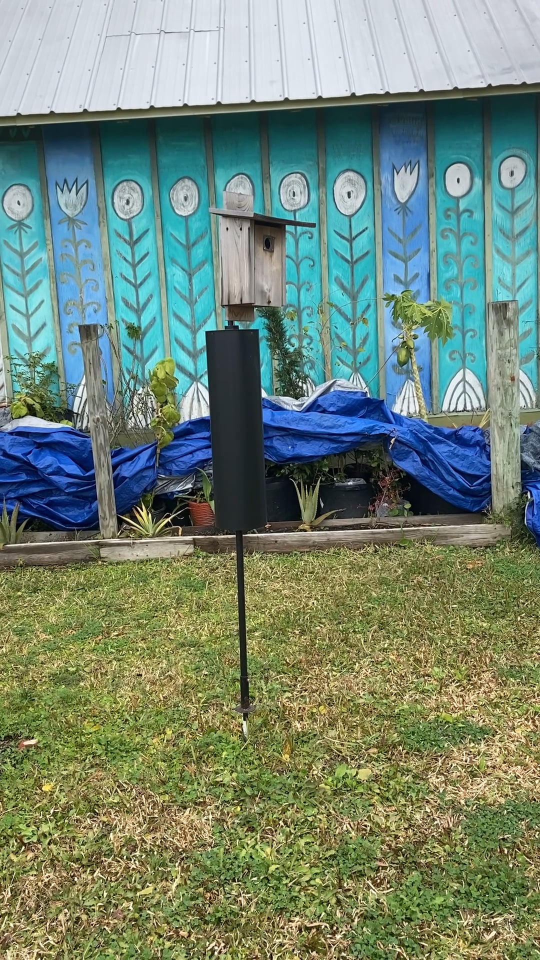 setting-up-eastern-bluebird-box-on-vimeo