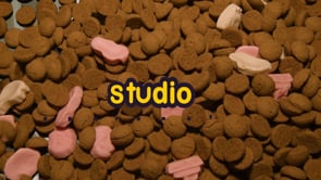 Studio Pepernoot 2016 - Aflevering 9 - 30 november 2016