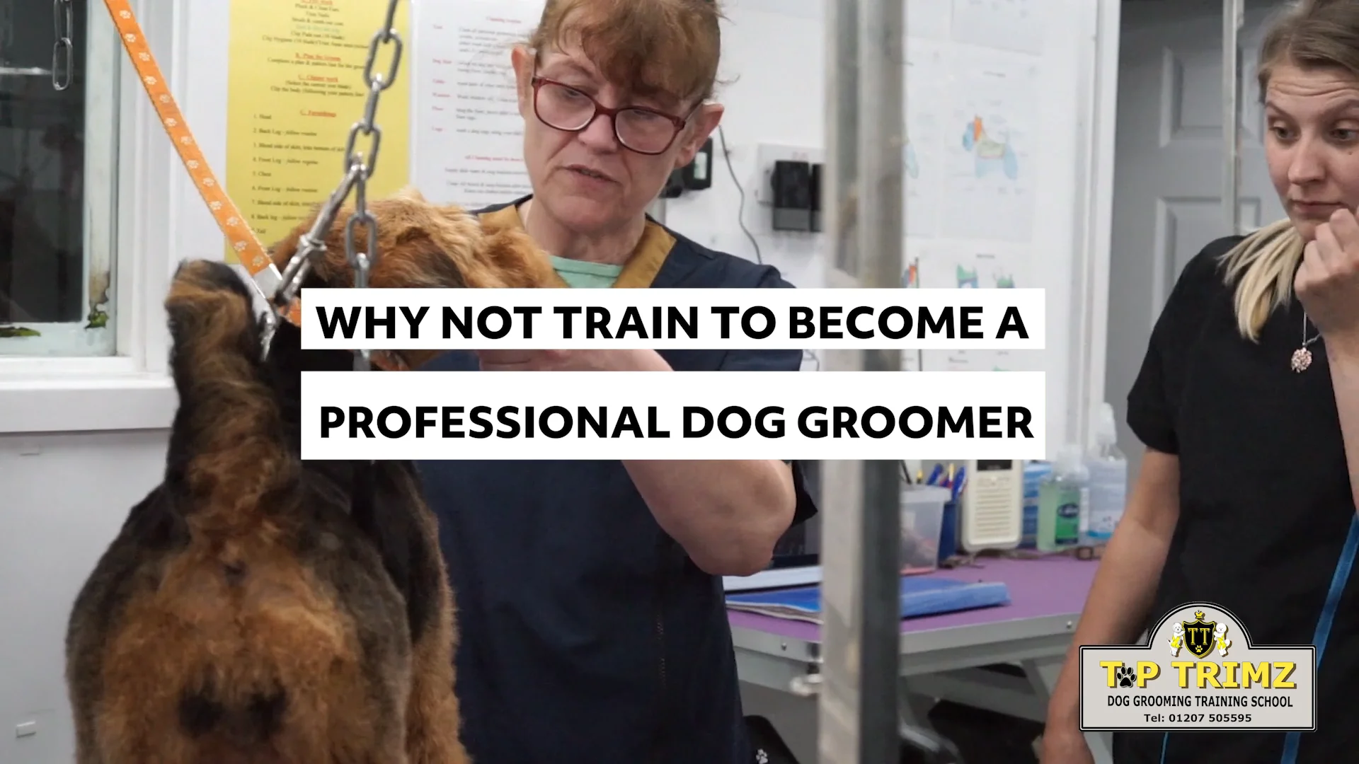 a dog groomer with Top Trimz on Vimeo