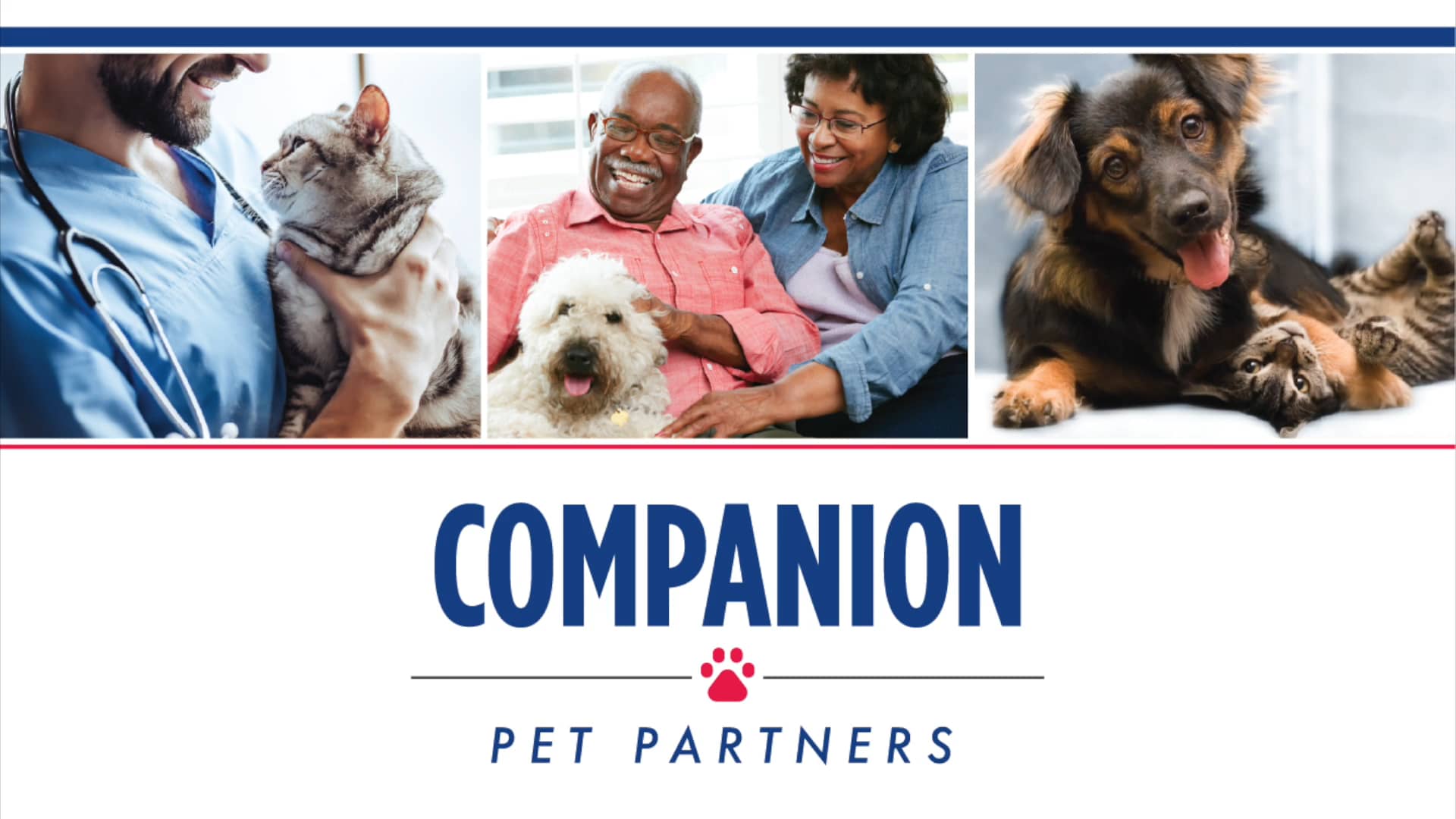 Companion Pet Partners on Vimeo