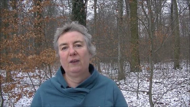 Übung zum Übersetzen