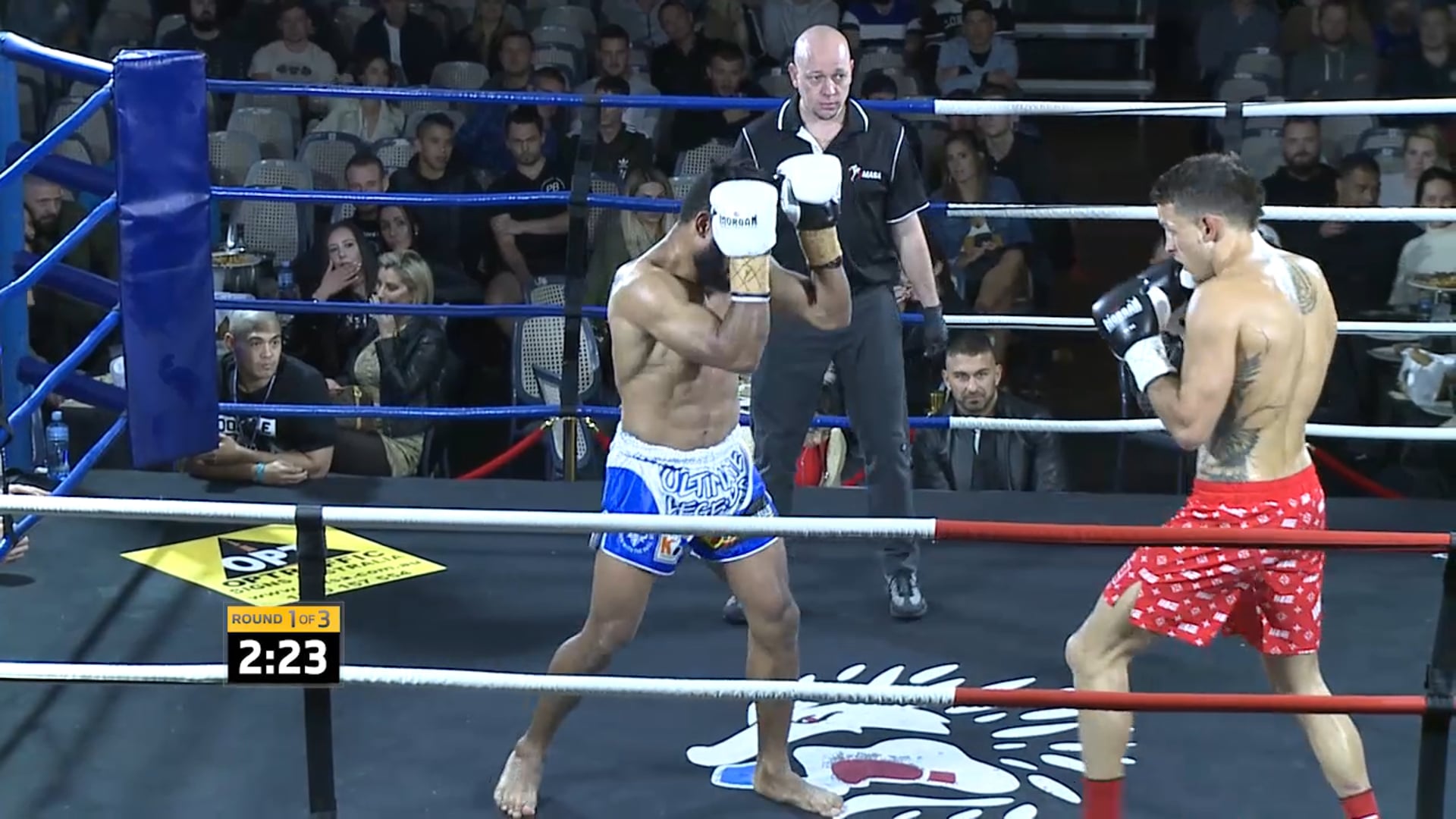 Dion Beattle v John Aki