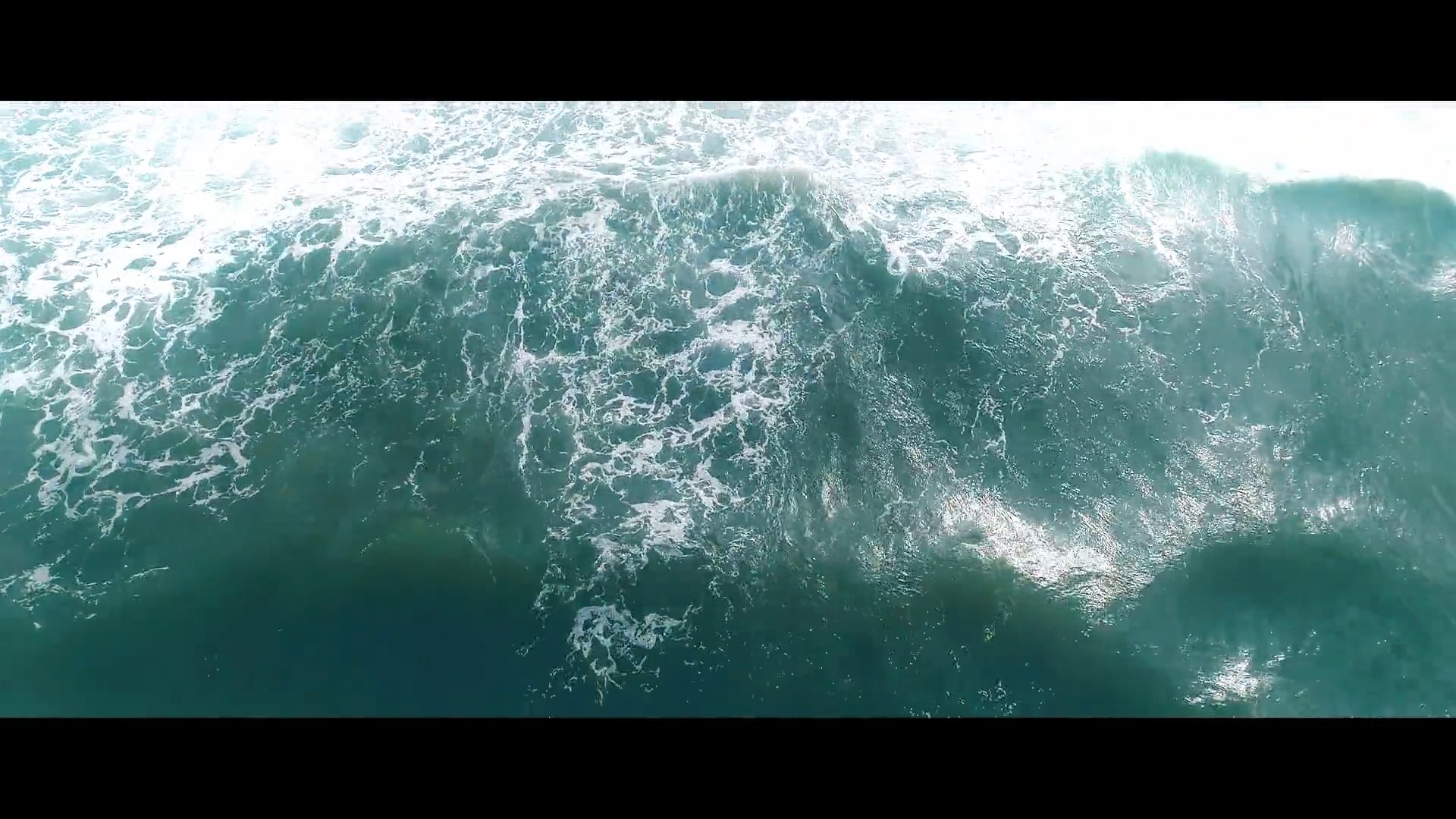 Tying the knot by the sea.