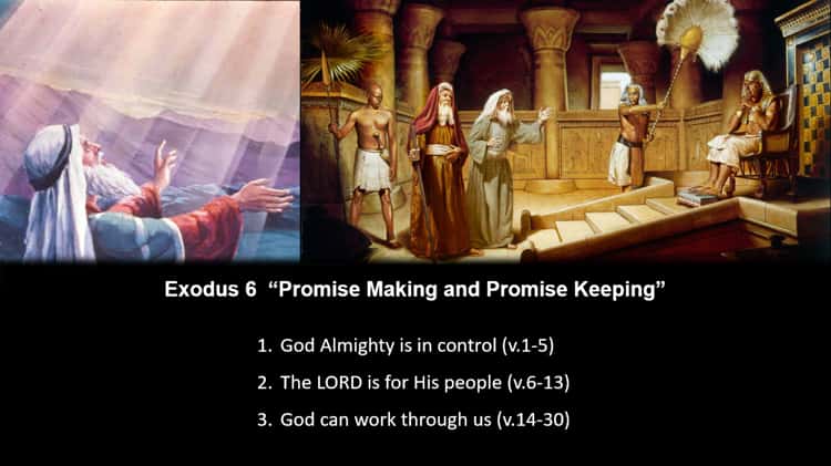 Exodus 6 and clearance 3