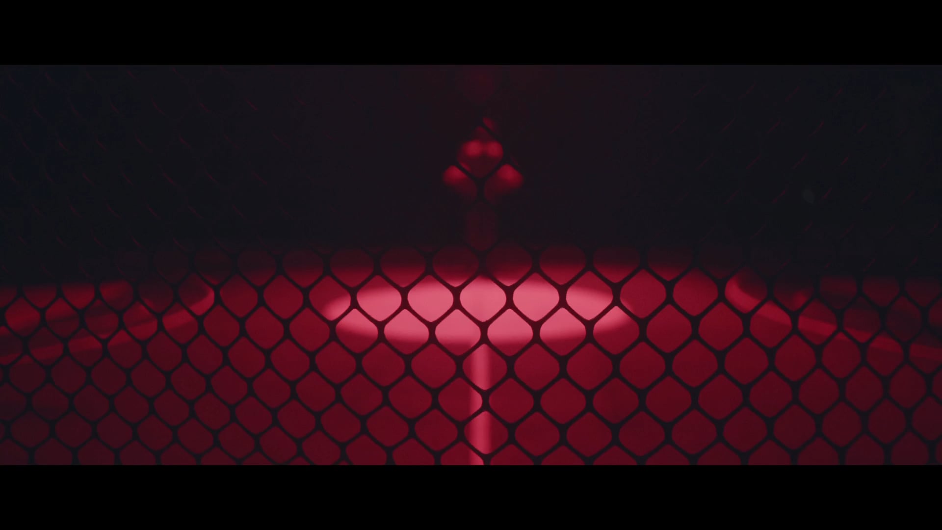 NBA : Directors Cut