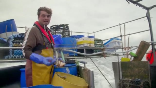 THIS FISHING LIFE - HAYLE