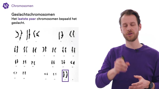 Oefen Met Erfelijkheid En Evolutie Uit Biologie Voor Jou / Bvj – 2/3 ...