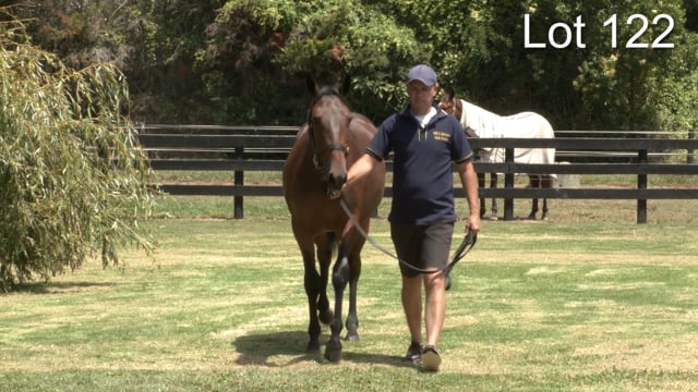 Lot 122