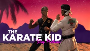 Karate Kid - Icon Heroes