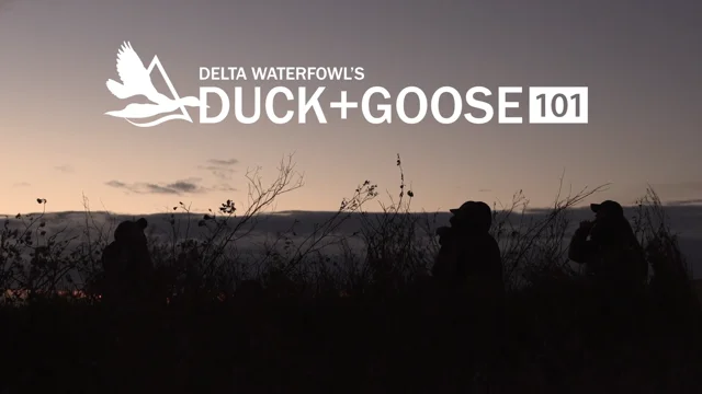 Float Your Way to More Ducks - Delta Waterfowl