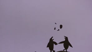 image du film 'Pas miam'