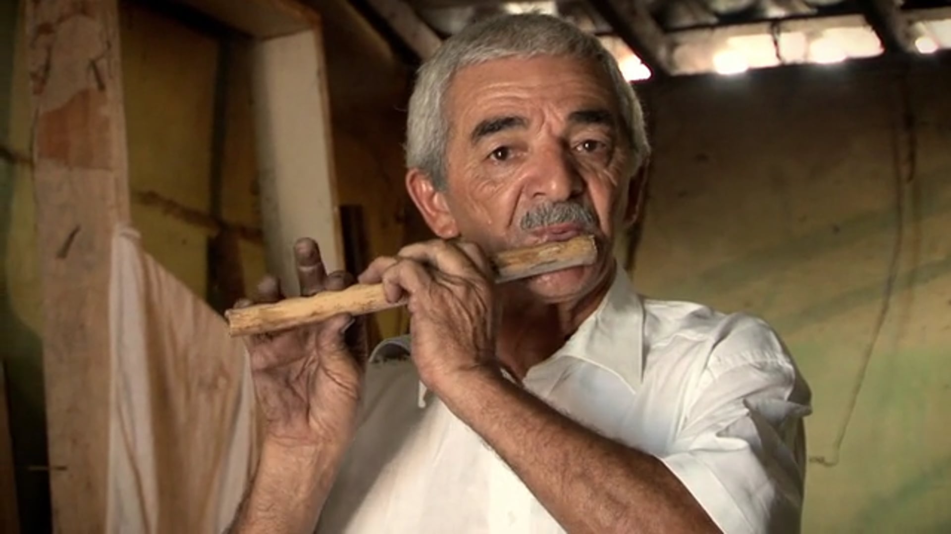 Na Rota do Pife (2013)