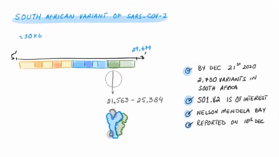 South African SARS-COV-2 Variant