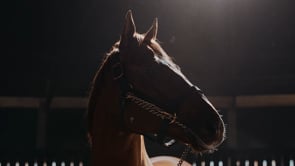 Vino Rosso commercial