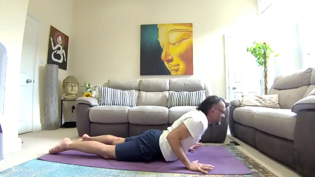 Spine Healing -Flow (Beginner To Advance)