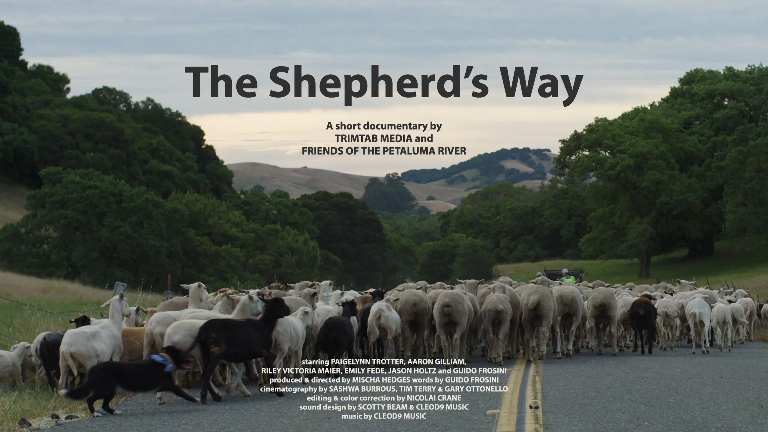 Watch The Shepherd's Way Online |   On Demand  