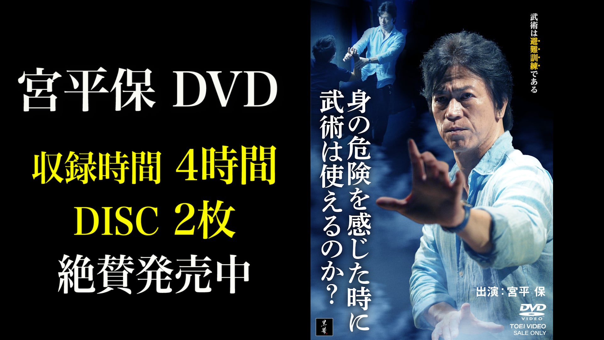 宮平保DVD「身の危険を感じた時に武術は使えるのか」内容紹介