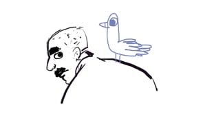 image du film 'Pigeon'