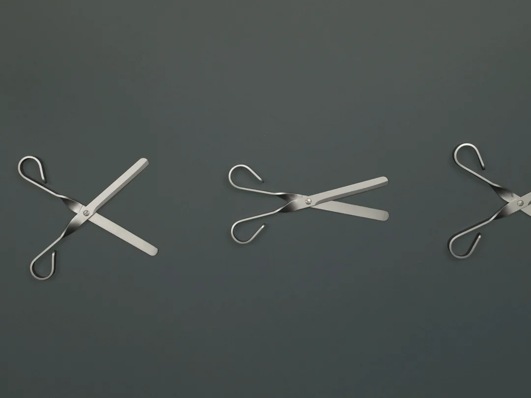 Lama - InternoItaliano