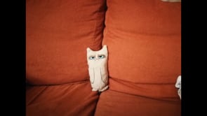 image du film 'Grumpy'