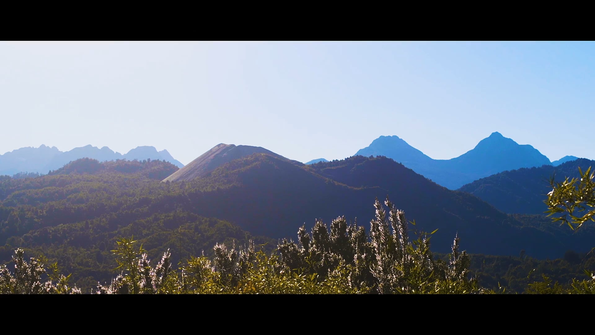 Showreel