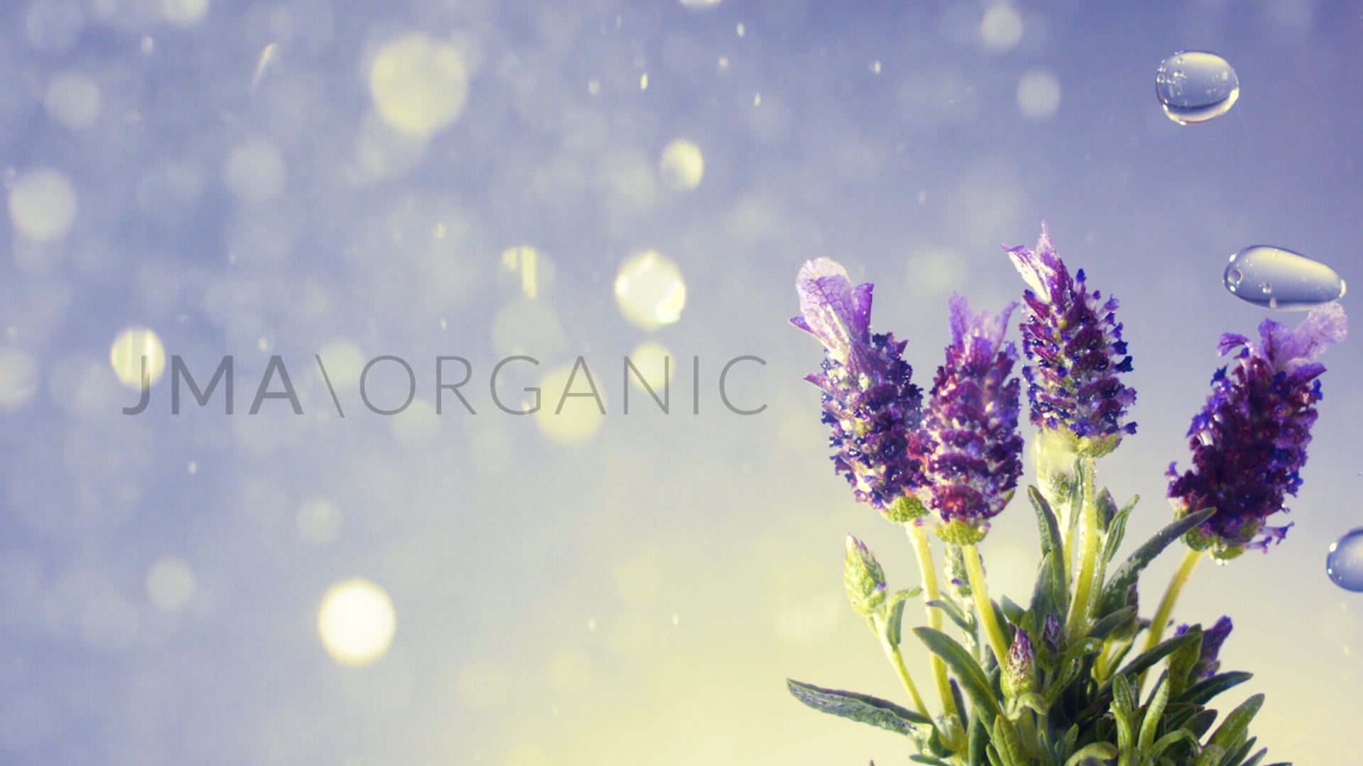 JMA ORGANIC / the beauty lab