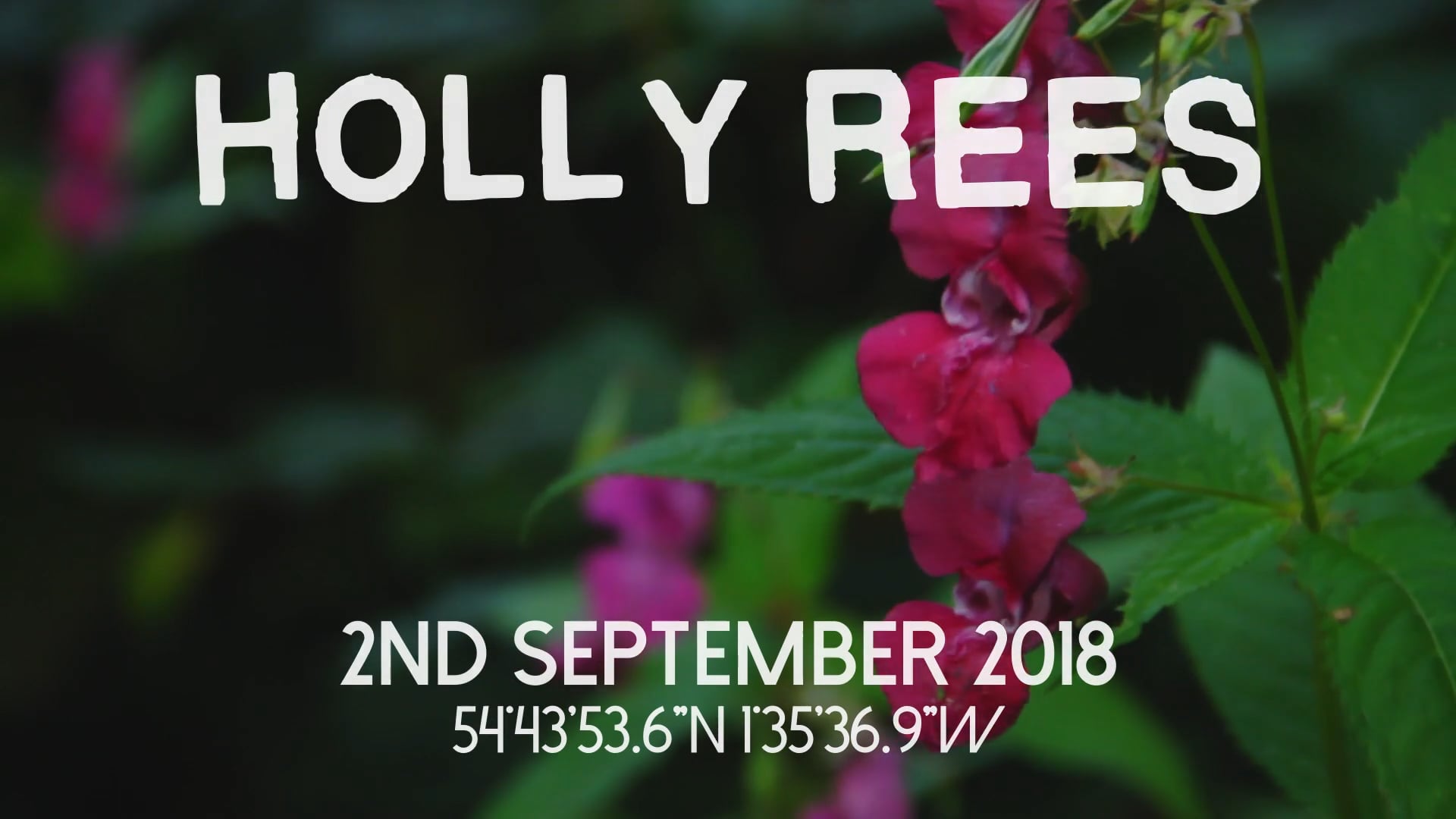 Gadabout Sessions Vol. 1 - Holly Rees