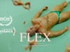 FLEX