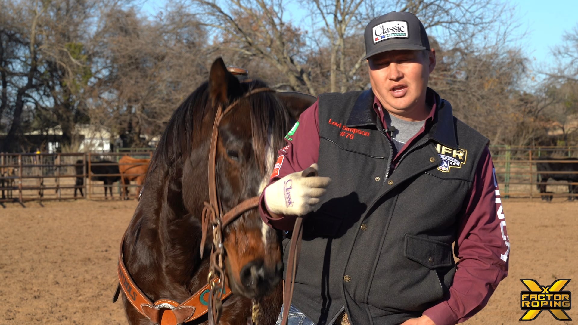 Levi Simpson 25 - Best Advice For Handling Cattle At Rodeos