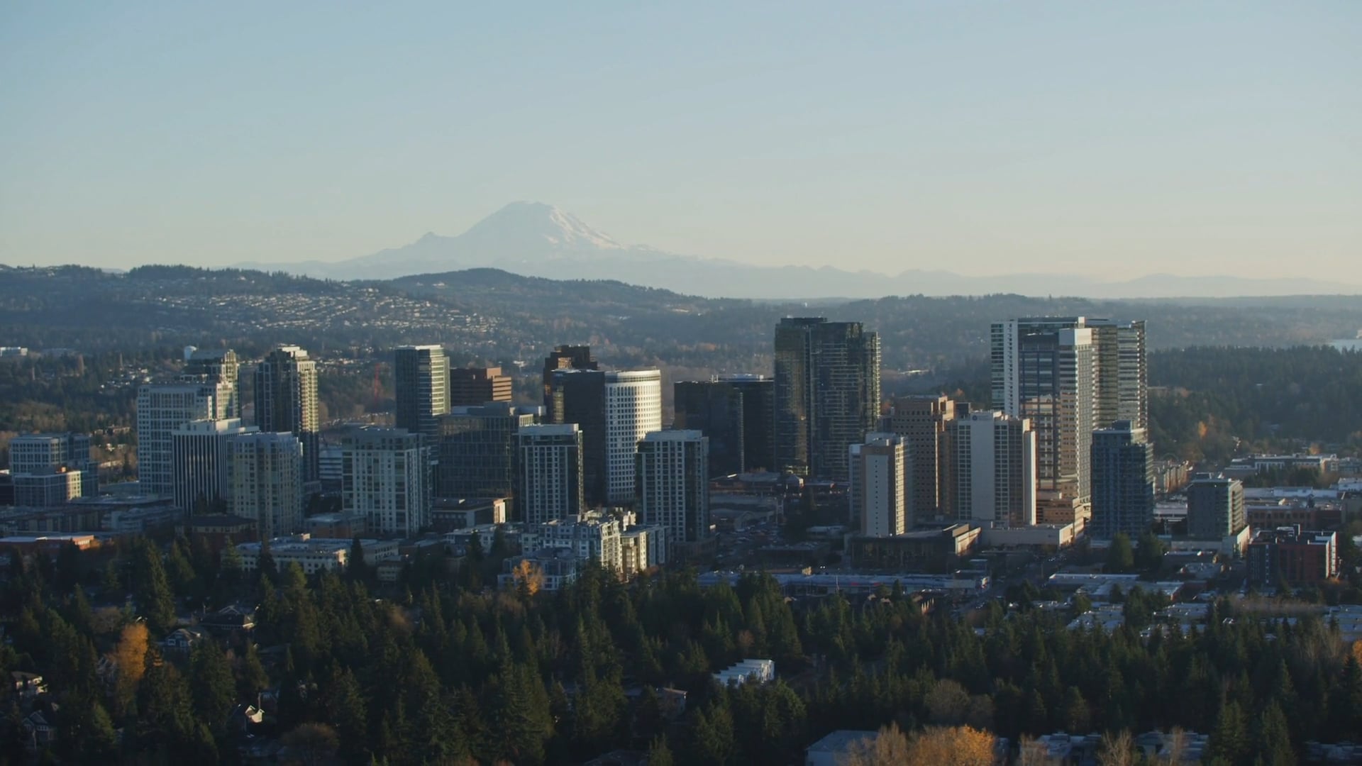 Bellevue Is Safe And Open on Vimeo