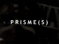 Prisme(s)