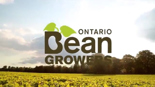 Ontario Beans - From Field to Fork