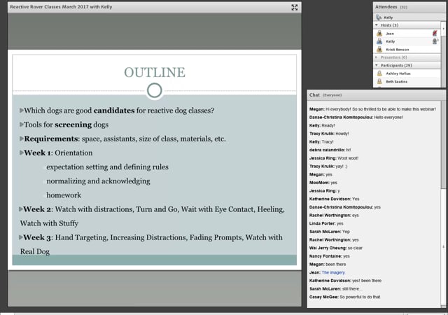 Dog Dog Optional Webinars On Vimeo