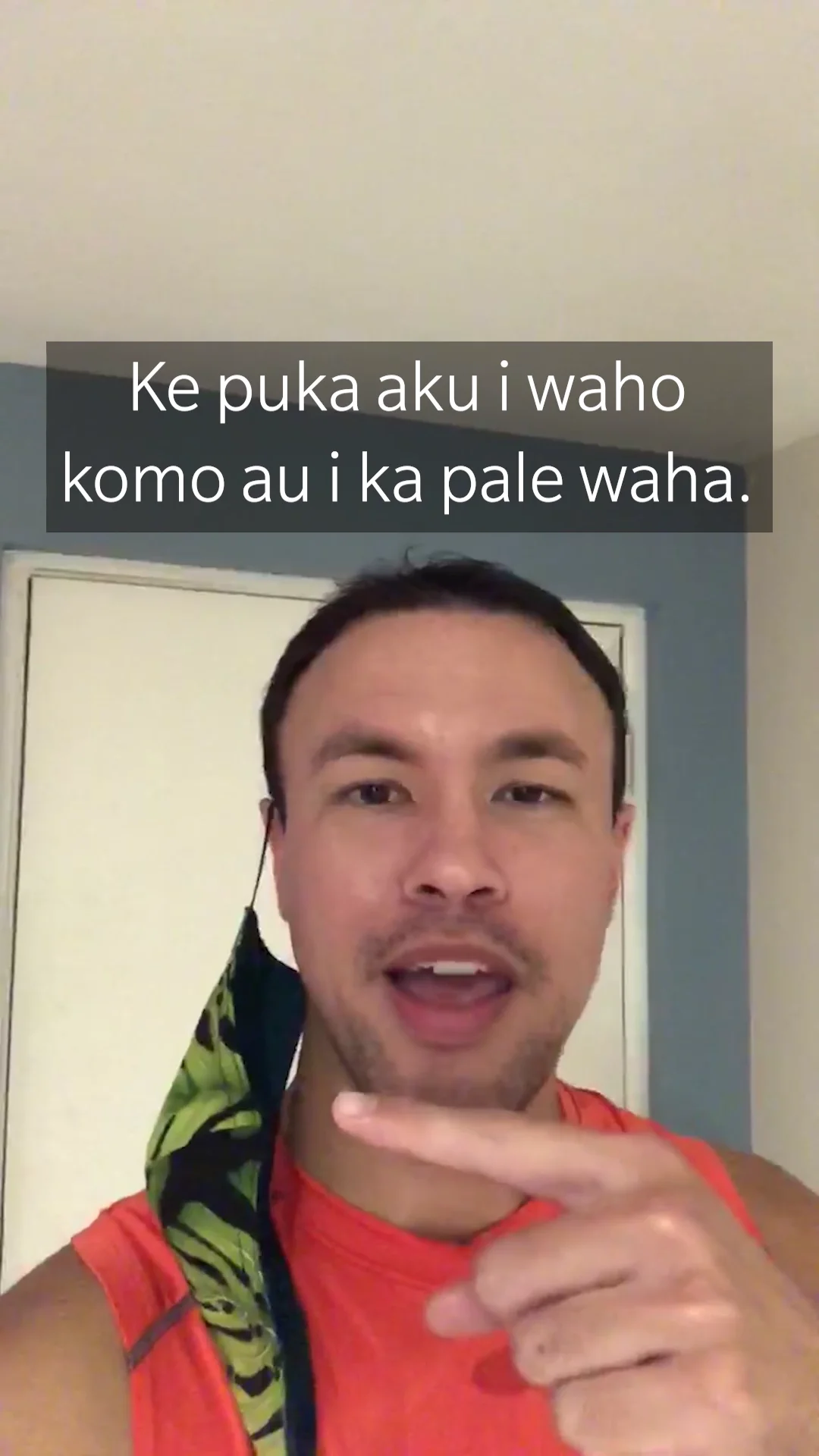 hawaiian-sentence-of-the-week-naihe-paaluhi-on-vimeo