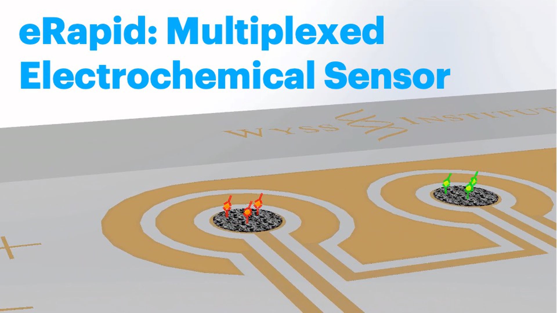 eRapid: Multiplexed Electrochemical Sensor