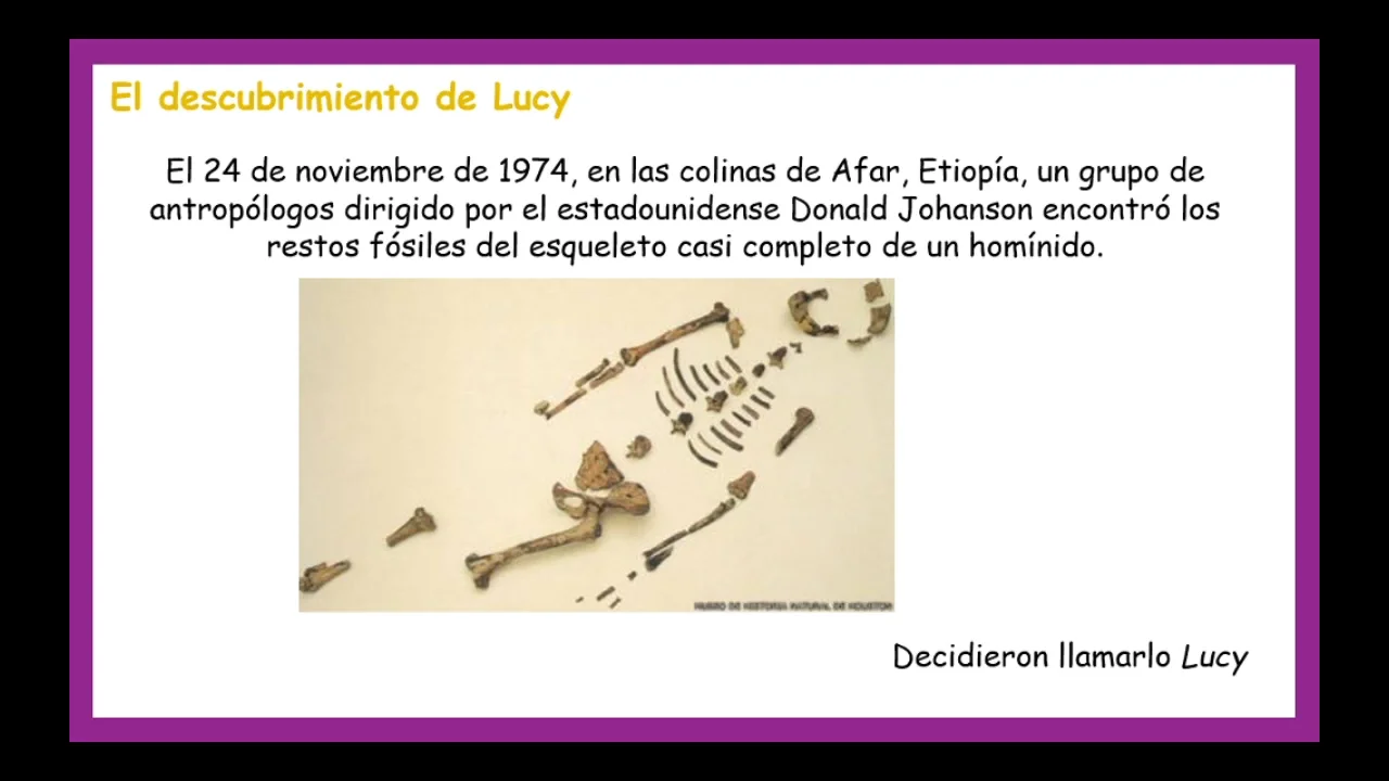 HISTORIA A LA DE LUCY