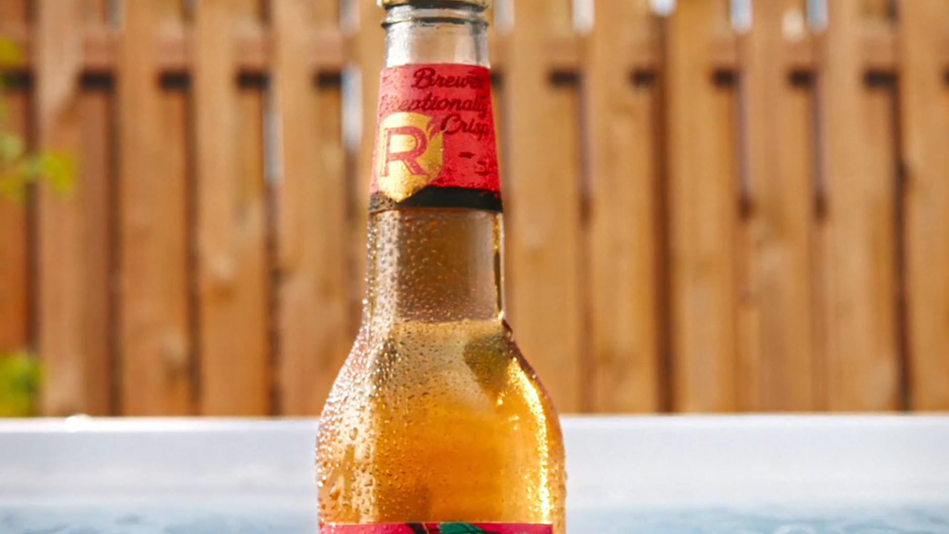 Redds_Shark_week_4x5_YCPR0087000H_Unslated (1350p)