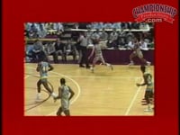 Preview Video #1