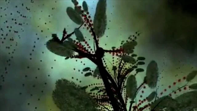 Sound Design Composition on Vimeo